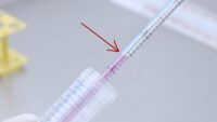 5 mL serological pipette with pink cell culture medium pipetted from a 50 mL centrifuge tube and red arrow pointing at the level of the medium in the pipette.