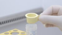 A yellow cell strainer is held by its handle on top of a centrifuge tube in a yellow rack in the laminar hood.