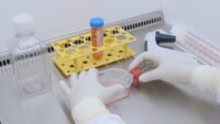 Closing the lid of a T75 cell culture flask in front of waste bottle and yellow rack with 50 mL centrifuge tube in sterile workbench.