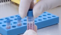 Labelled cryopreservation tube containing cell suspension with blue cap closed by hands wearing sterile gloves and blue rack in background.