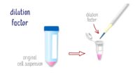 Cartoon image of diluting cells from an original cell suspension in a 50 mL centrifuge tube to a microcentrifuge tube with a micropipette.