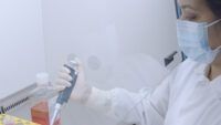 Person wearing mask, gloves and white lab coat, pipetting with micropipette in sterile workbench.