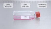 Special transfection or mutant strain or unique or difficult method of cell isolation could be legitimate reasons for cell-cell-transfer from lab to lab.