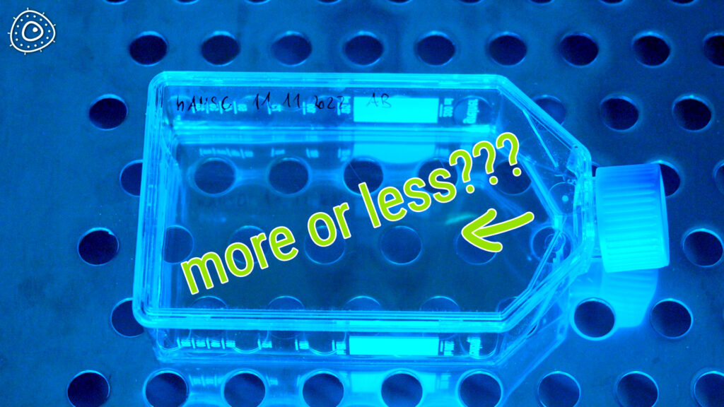 T75 cell culture flask in incubator in deep blue light on metal shelf with holes.