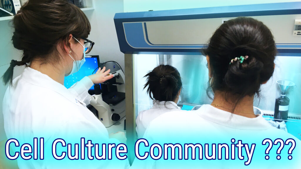 Three women in white lab coats in front of a sterile work bench discussing cell splitting.